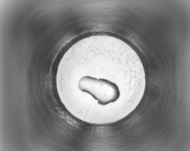 X0000059830832200510211211