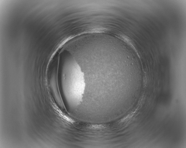 X0000059830835200510211211