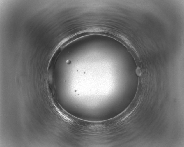 X0000059830837200510211211