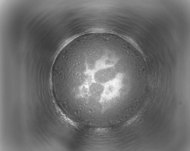 X0000059830839200510211211