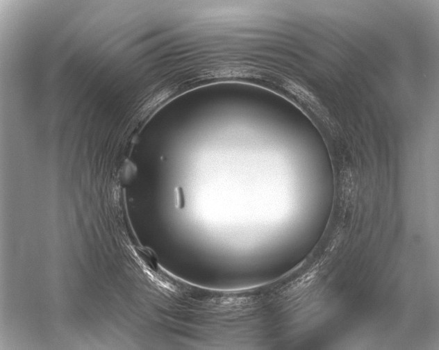 X0000059830841200510211211