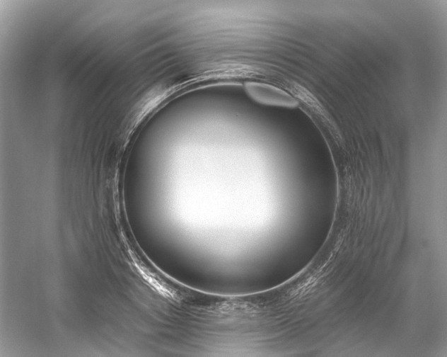 X0000059830842200510211211