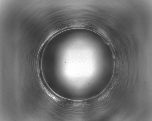 X0000059830843200510211211