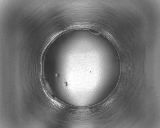 X0000059830844200510211211