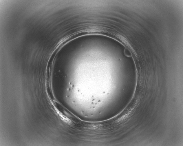 X0000059830845200510211211