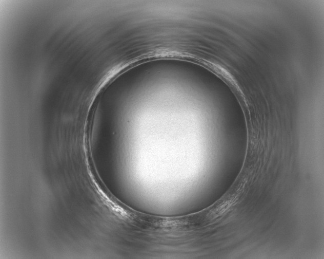 X0000059830847200510211211