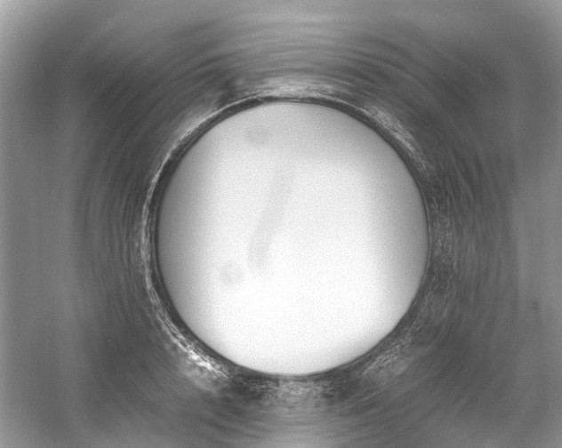 X0000059830848200510211211