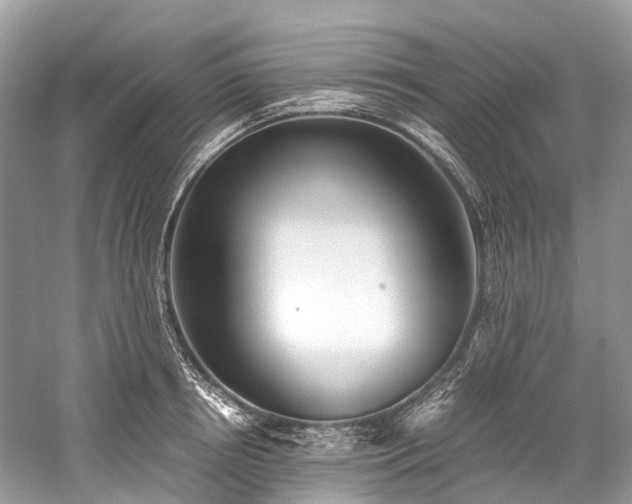 X0000059830850200510211211