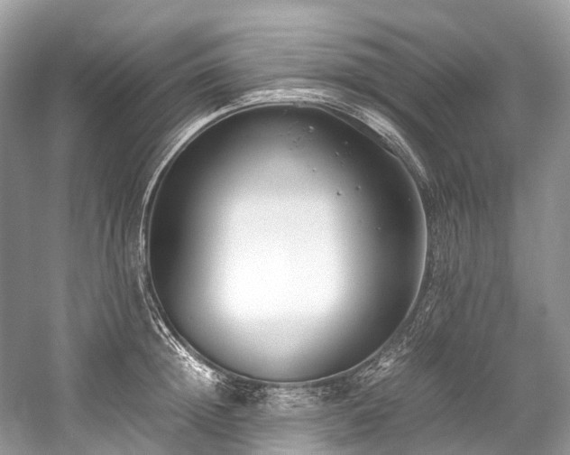 X0000059830852200510211211