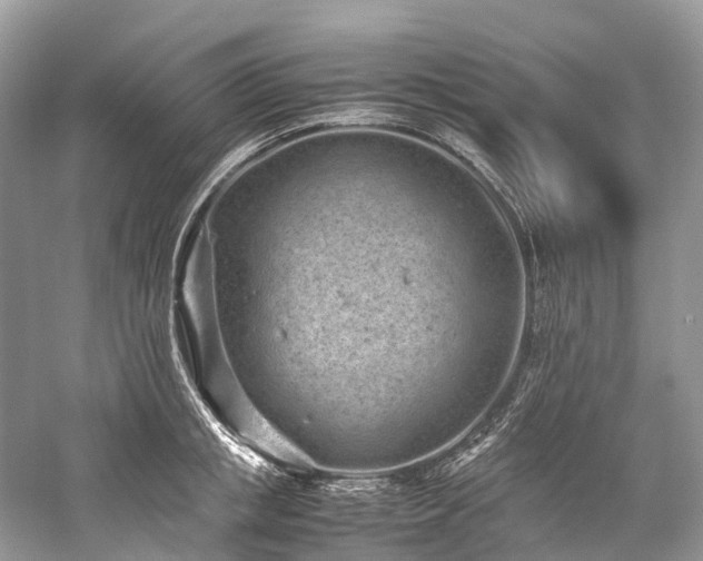 X0000059830853200510211211