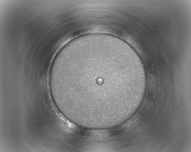 X0000059830856200510211211