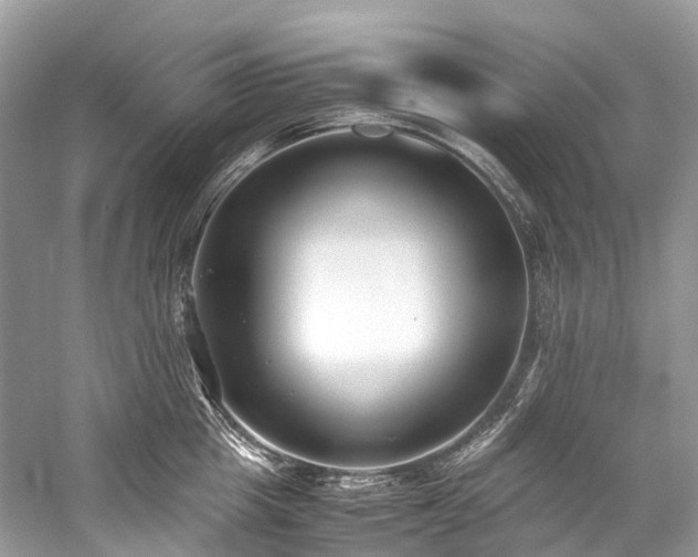 X0000059830857200510211211