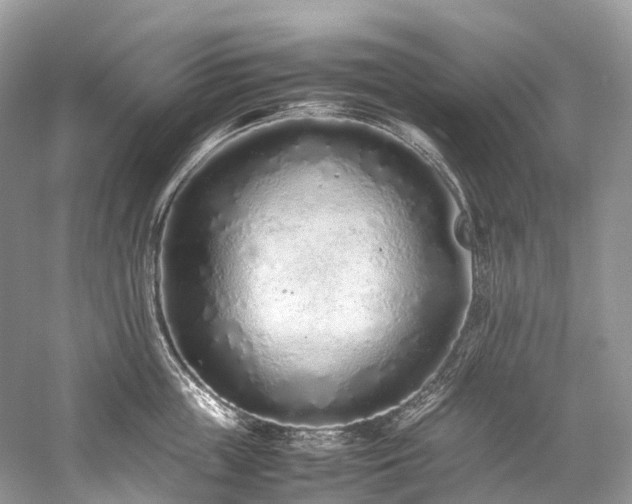 X0000059830859200510211211