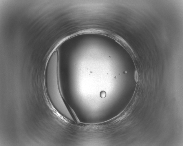 X0000059830860200510211211