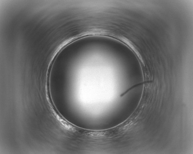 X0000059830861200510211211