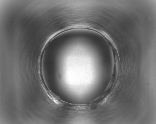 X0000059830862200510211211