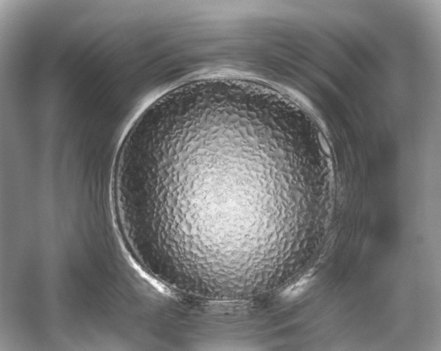 X0000059830863200510211211