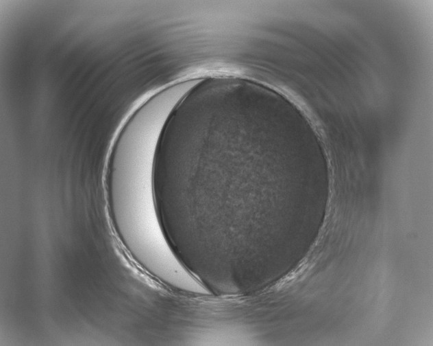 X0000059830864200510211211