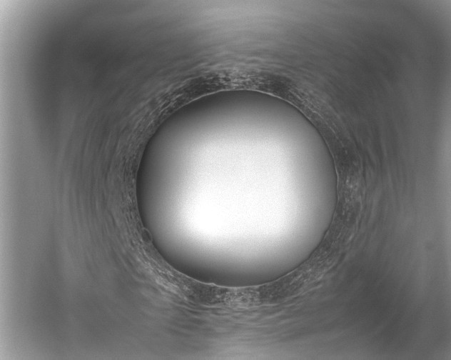 X0000059830865200510211210