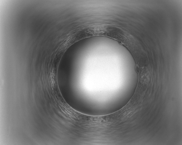 X0000059830866200510211210