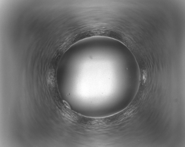 X0000059830867200510211210