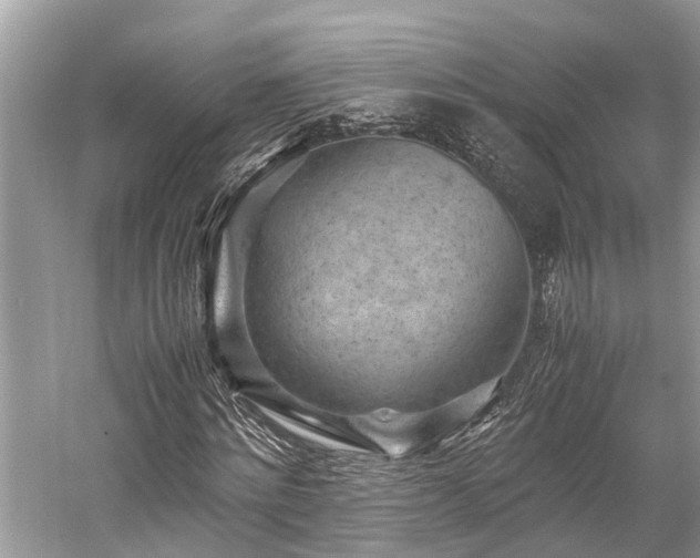 X0000059830868200510211210