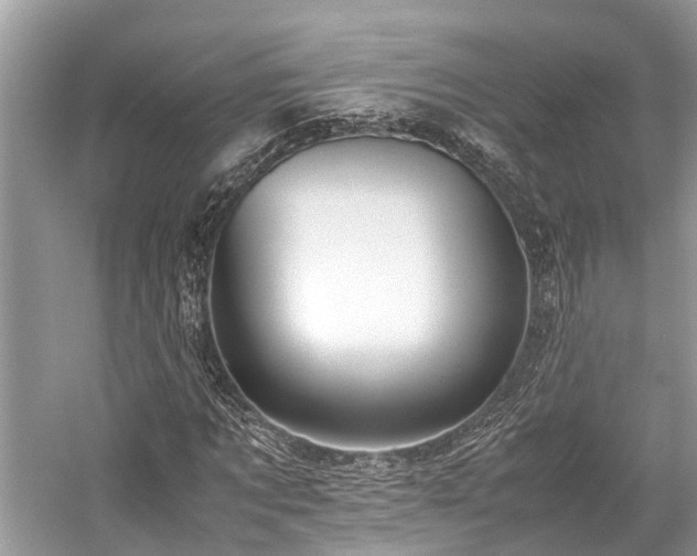 X0000059830869200510211210