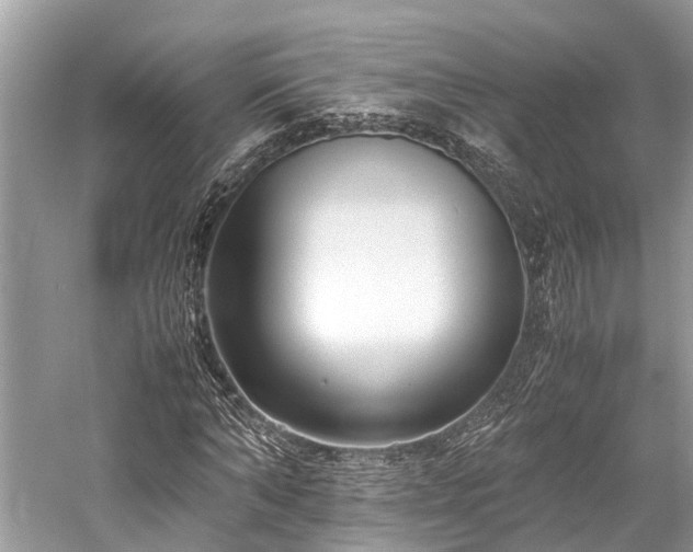 X0000059830870200510211210