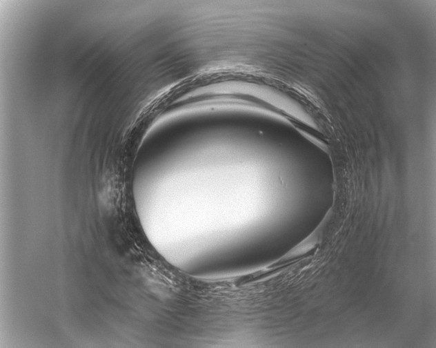 X0000059830872200510211210