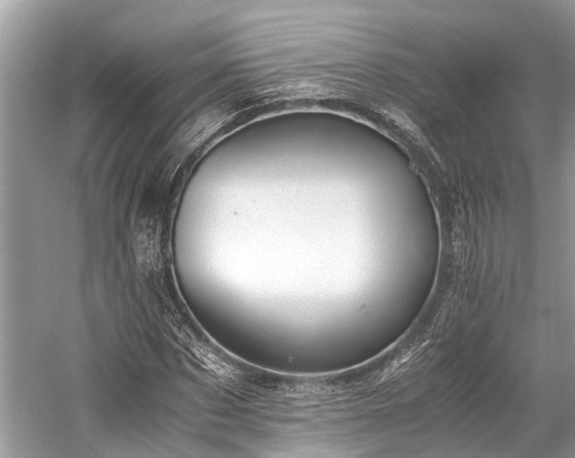 X0000059830873200510211210