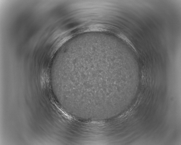 X0000059830874200510211210