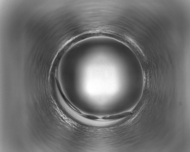 X0000059830876200510211210