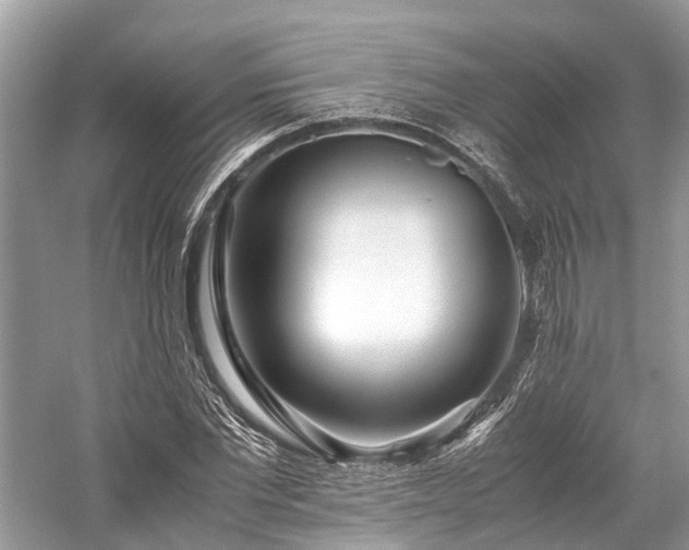 X0000059830877200510211210