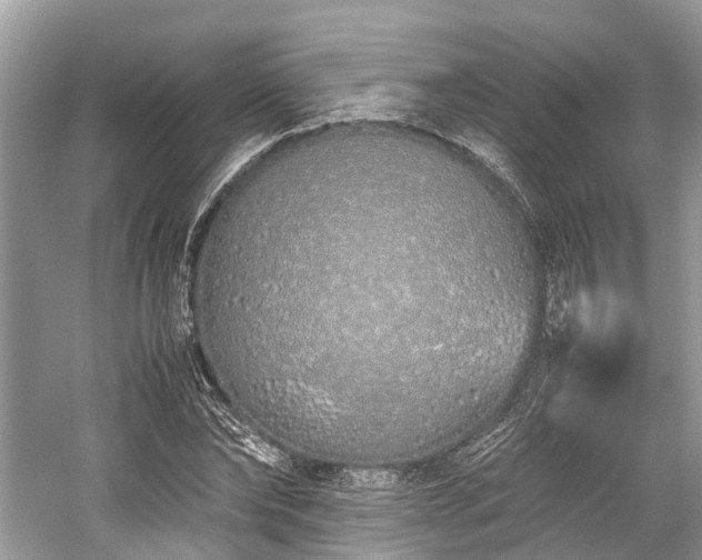 X0000059830878200510211210