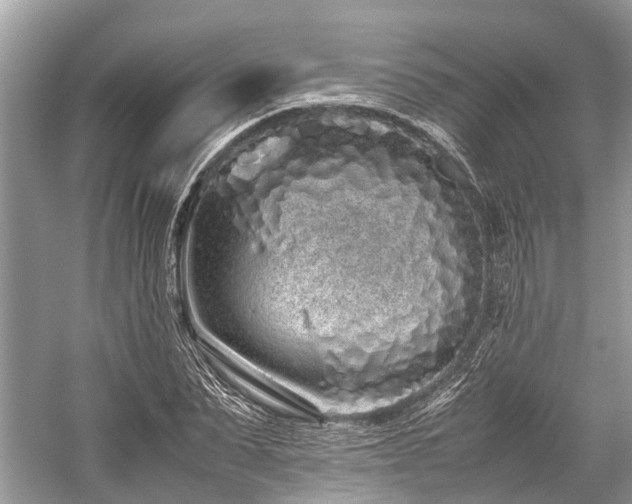 X0000059830879200510211210