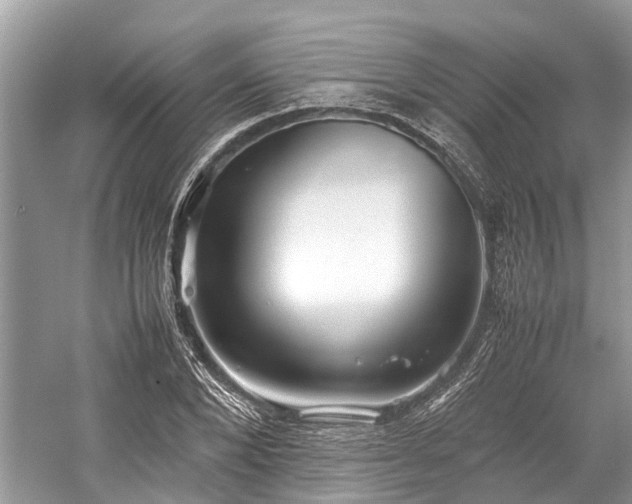 X0000059830880200510211210