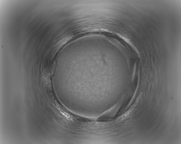 X0000059830881200510211210