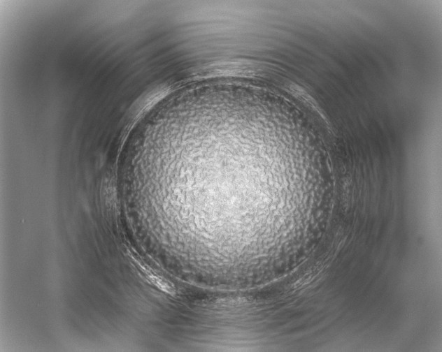 X0000059830882200510211210