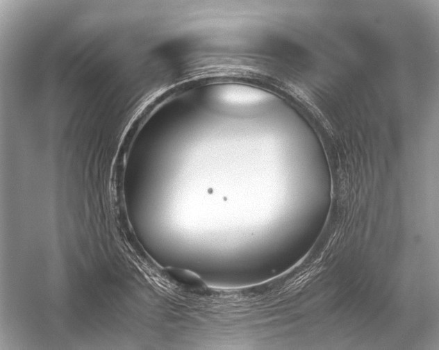 X0000059830883200510211210