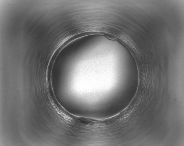 X0000059830884200510211210