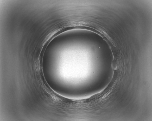 X0000059830885200510211210