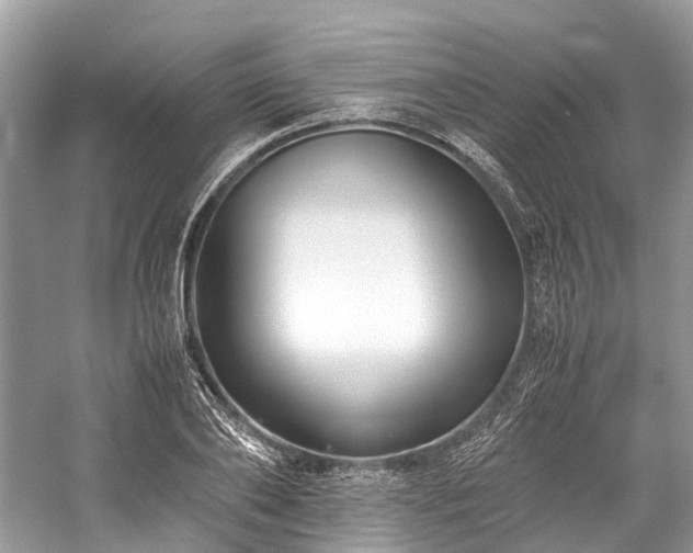 X0000059830886200510211210