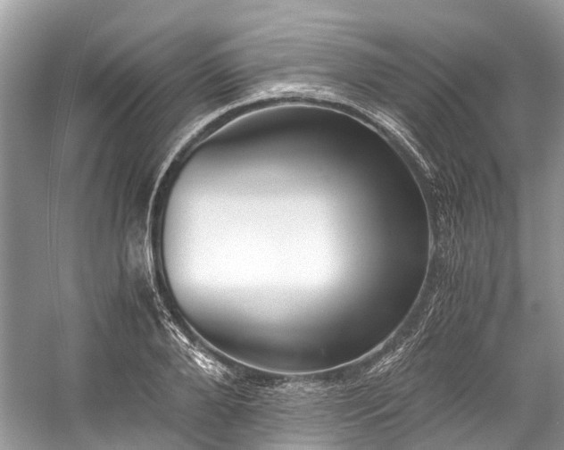 X0000059830888200510211210