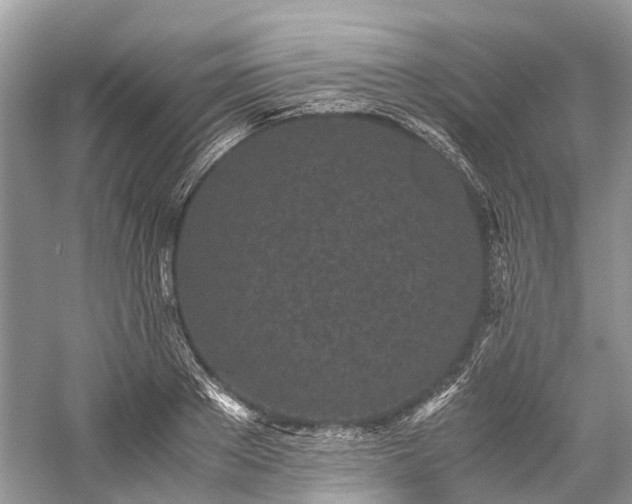 X0000059830889200510211210