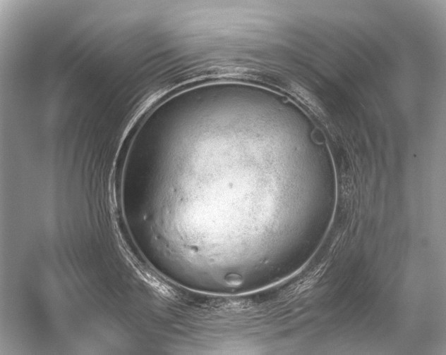 X0000059830891200510211210