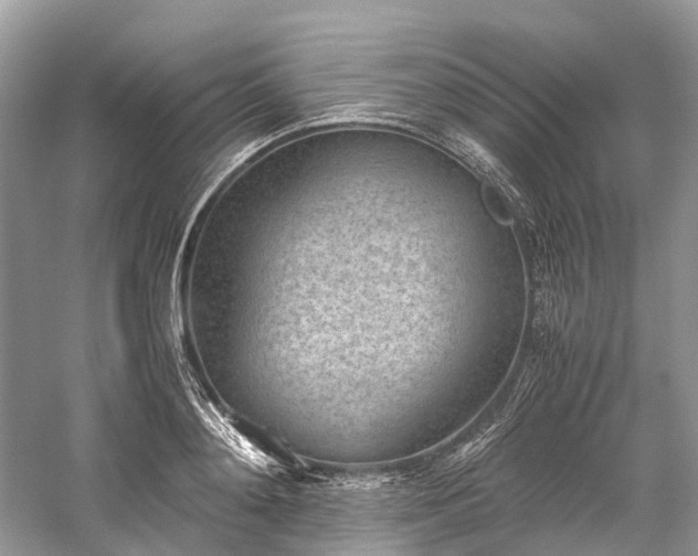 X0000059830892200510211210