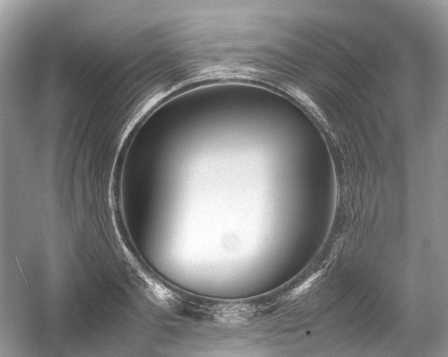 X0000059830893200510211210