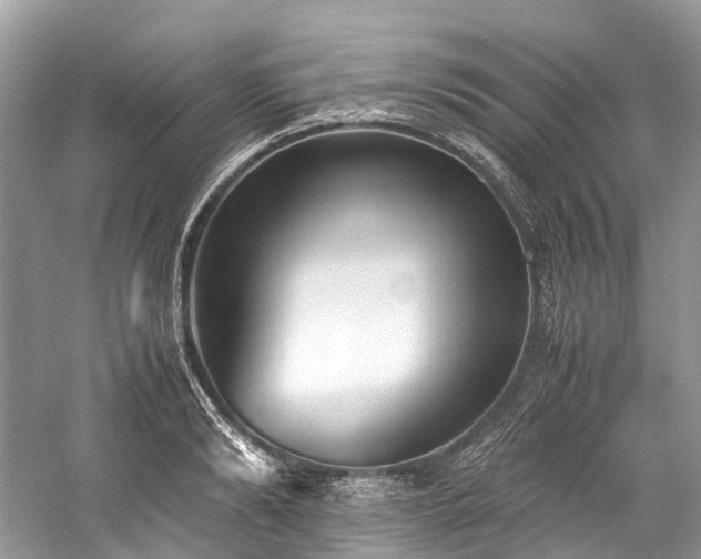 X0000059830894200510211210