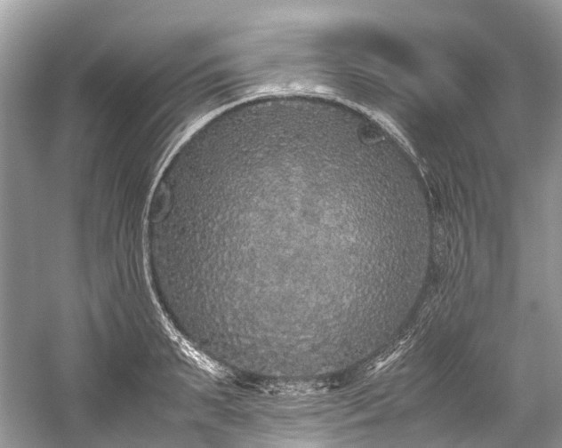 X0000059830895200510211210