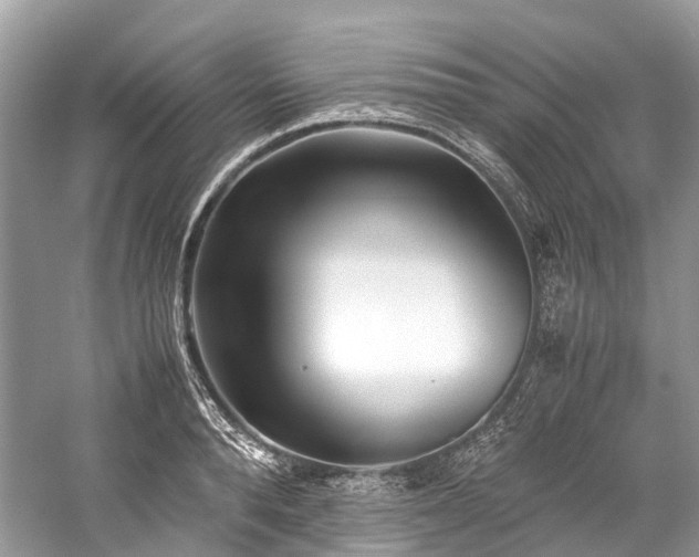 X0000059830896200510211210